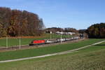 1116 260 mit dem  Papierzug  aus Salzburg kommend am 4. November 2025 bei Axdorf im Chiemgau.