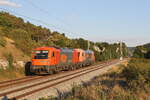 1216 901 und 2016 905 am 9. August 2022 bei Hagenacker im Altmhltal.