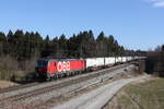 1293 199 mit einem Containerzug aus Salzburg kommend am 3.