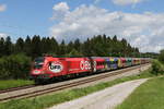 1116 249 mit dem  FB-Railjet  aus Salzburg kommend am 24.