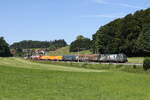 1116 182  Bundesheer  war mit einem gemischten Gterzug auf dem Weg nach Salzburg.
