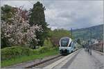 Der Westbahn ET 4010 029 (629/129) erreicht als WB 979 von Lindau Insel kommend den Bahnhof von Bregenz.