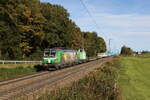 193 892 und V 100.51 von  SETG  mit einem leeren Holzzug aus Salzburg kommend am 9. Oktober 2024 bei Hufschlag.