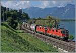 Statt wie seit längerem üblich mit einer Re 6/6 kam der 'Spagehetti-Zug' an diesem Tag mit zwei Re 4/4 II, an der Spitze ist die Re 4/4 II 11322 (Re 420 322-0) eingereiht. 
Das Bild entstand kurz nach Villeneuve. 

30. Juli 2025
