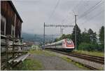 Der SBB ICN 500 005  Heinrich Pestalozzi  ist als IR51 auf dem Weg von Biel/Bienne nach Basel SBB und erreicht seinen ersten Halt Grenchen Nord.

4. Juli 2021