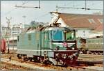 Die SBB Re 4/4 11238 zeigte sich in Lausanne zwar noch im traditionellen Grün, aber mit einer interessanten optischen Bereicherung auf der Stirnseite der Lok. 

Analogbild vom März 1994