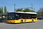(286'256) - Amstein, Willisau - Nr.