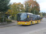 (221'754) - ASN Stadel - Nr. 334/ZH 783'893 - Mercedes am 11. Oktober 2020 beim Bahnhof Blach