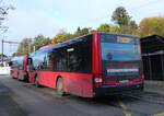 (268'424) - Bernmobil, Bern - Nr. 421/BE 716'421 - MAN am 25. Oktober 2024 beim Bahnhof Niederwangen