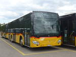 (216'951) - CarPostal Ouest - JU 36'947 - Mercedes (ex Nr.