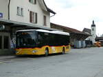 (239'255) - PostAuto Ostschweiz - SG 445'304 - Mercedes am 20.