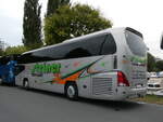 (238'843) - Steiner, Messen - SO 47'147 - Neoplan am 6.