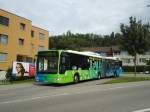 (135'401) - STI Thun (Testbus) - BS 59'327 - Mercedes am 6.