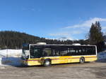 (223'237) - Pfosi, Arosa - Nr. 14/GR 112'438 - MAN (ex Regiobus, Gossau Nr. 37; ex STI Thun Nr. 124) am 2. Januar 2021 in Arosa, Post