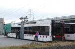 (284'270) - TPF Fribourg - Nr. 6610 - Hess/Hess Gelenktrolleybus am 17. Januar 2026 in Kerzers, Murtenstrasse