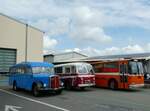 (249'742) - Wehrle, Trogen - AR 36'043 - Saurer/Saurer (ex Sulzer, Winterthur) am 6.