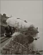 Kräftig dampft die 01 202 mit ihrem Alpine Steam Express dem Genfersee entlang.
Bei St-Saphorain, den 19. Jan. 2014