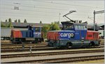 Die Eem 923 015-2 und der Tm 232 110-7 in St.Margarethen.