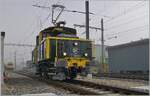 1844 erreichte erste Bahn von Frankreich her Basel. 1957 wurde die Strecke elektrifiziert. W�hrend f�r den Reisezugverkehr der Stromsystemwechsel kein Problem darstellte, musste im G�terverkehr zwischen den Rangierbahnh�fen von St-Louis nach Muttenz mit Dieselloks gefahren werden, mit der Folge, dass die Anwohner der Strecke �ber Abgase reklamierten. Die SNCF beschaffte als Abhilfe neun Zweistromloks C 20151 bis C 20519 welche von der SBB Ee 3/3 II ableitet waren. Die kleinen nur Vmax 40 - 60 km/h langsamen Loks versahen ab 1962 in Doppeltraktion den SNCF G�terverkehr zwischen St-Louis und Muttenz. Die neun Loks wurden 1971/1972 von den SNCF BB 20200 abgel�st und an die SBB verkauft. Am 9. Mai 1963 lieferte die Schweizerischen Lokomotiv- und Maschinenfabrik Winterthur die C 20188 an die SNCF. Wie erw�hnt wurden die Lok 1971/1972 an die SBB ver�ussert, welche sie in als Rangierlok einsetzte, zuletzt in Basel SBB bis 2011. Danach kam die Lok ins Industriewerk Yverdon, wo sie bis 2019 ICN Garnituren verschob. 2020 in Biel/Bienne abgestellt und sp�ter nach Balsthal �berf�hrt, mit dem Ziel, die letzte noch vorhandene Zweistrom Ee 3/3 wieder in Betrieb zu nehmen. Wie man sieht hat des  Team C-20155  eine hervorragende Arbeit geleistet, die interessante Lok zeigt sich in ihrer SNCF Farbgebung als ein ganz besonders sch�nes Bijou auf helvetischen Gleisen. Das Bild zeigt die Lok in Balsthal beim Tag der offenen T�r bei der OeBB.

8. November 2025