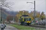 Die SNCF C 20155 UIC N� 97 85 1 932-0 (ex SBB Ee 3/3 II 16515, ex SNCF C 20155) des Verein  Team C-20155  habe ich hier schon gezeigt, aber ich denke, die doch sehr besondere Lok darf sich hier genre nochmals zeigen, besonders da die nicht oft im Einsatz zu sehen ist. Hier ist ist die liebevoll hergerichteten C 20115 auf der Fahrt von der Klus nach Balsthal und konnte kurz nach der Talbr�cke fotografiert werden. 

8. November 2025 