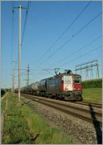 SBB Re 420 160-4 zwischen Lengnau und Pieterlen.
31. Juli 2013