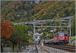 Die SBB Re 4/4 II 11243 (Re 420 243-8) in ihrer gefälligen Swiss Pass Lackierung mit einem Güterzug Richtung Wallis kurz vor Villeneuve.