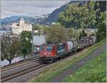 re-420-re-4-4-ii-/861151/wartung-mit-durchblick-verkuendigt-die-werbung 'Wartung mit Durchblick' verkündigt die Werbung auf der Seitenwand der SBB Re 4/4 II 11256 (Re 420 256-0), was bei dem langen Leben der ab 1964 gebauten Lokbaureihe Re 4/4 II wohl stimmen mag...
Der kurze Güterzug ist bei Villeneuve auf dem Weg in Richtung Wallis. 

6. Sept. 2024