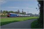 In der Schweiz, aber auf einer DB-Anlage erreicht der S-Bahnzug mit der schiebenden Re 450 053 von Zug kommend sein Ziel Thayngen.
