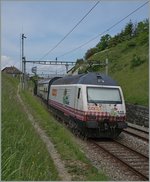Das  Tischtuch  (die Re 460 083-9) schiebt einen IC von St Gallen nach Genève und konnte hier kurz vor Bossière fotogarfiert werden.
26. Mai 2016