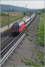 SBB Re 460 mit IR/IC Zügen auf der NBS Mattstetten - Rothrist bei Langenthal.