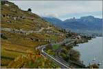 Mehr ein Landschafts- als ein Bahnbild: eine SBB Re 460 fährt mir ihrem IR bei St-Saphorin dem Genfersee entlang durch das spätherbstliche Lavaux.