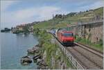 Mit einer SBB Re 460 an der Spitze fährt kurz nach Rivaz der SBB IR 95 1721 von Genève Aéroport nach Brig im Wechselbetrieb auf dem rechten Gleis in Richtung Vevey-     19.