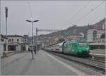 re-460-re-4-4-vi/885772/die-sbb-re-460-010-swiss Die SBB Re 460 010 'Swiss Tainable' ist in Montreux mit einem IR 90 von Genève Aéroport nach Brig unterwegs und dies wenig Minuten bevor die MOB Ge 4/4 8004 'Swiss Tainable' Montreux erreicht hat, wobei beim zeitgleichem Erscheinen wohl es kaum möglich gewesen wäre beide Loks auf ein Bild zu bekommen. 7. Dezember 2024