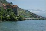 Zwischen St-Saphorin und Rivaz ist eine SBB Re 460 mit ihrme IR 90 auf dem Weg nach Genève - Aéroport. 

27. Aug. 2024