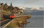 Eine SBB Re 460 ist bei St-Saphorin mit ihrem IR 90 auf dem Weg in Richtung Lausanne, rechts im Bild gleitet der Blick weit über den See bis zum Château de Chillon. 

12. Nov. 2024