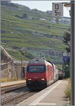 In Rivaz, bei Kilometer 13.573 f�hrt eine SBB Re 460 mit ihrem IR in Richtung Lausanne. Im Hintergrund sind die Weinberge des Lavaux zu sehen. 

12. August 2026