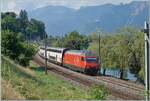 Eine SBB Re 460 ist mit einem IR 90 bei Villeneuve auf dem Weg nach Gen�ve-A�roport. Damit Reisende mit beschr�nkter Mobilit�t selbstst�ndig diesen Zug nutzen k�nnen, sind an der Spitze zwei Doppelstockwagen eingereiht, die ein ebenerdiges Ein- und Aussteigen erlauben, optisch aber nicht gerade gut aussieht. 

30. Juni 2025