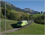Die BLS Re 465 002 ist mit dem GoldenPass Express 4065 von Interlaken nach Montreux bei Enge im Simmental auf dem Weg nach Zweisimmen, wo der Zug dann umgespurt nach Montreux weiter fahren wird.

7. Oktober 2023