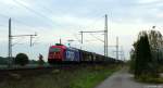 482 041-1 fuhr am 25.10.13 durch Dedensen-Gmmer gen Westen.