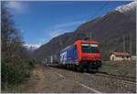 Pünktlich wie die Eisenbahn kommt die SBB Re 484 019 mit UKV-Zug nach Novara kurz nach Premosello-Chiovenda bei meiner Fotostelle vorbei.