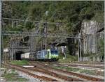 Nach der langen Fahrt durch den Simplontunnel hat die BLS Re 485 018 mit einer weitern Lok nun auch den kurzen Iselle Tunnel hinter sich gelassen und fährt nun durch den Bahnhof von Iselle di