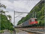 Kurz nach dem Château de Chillon ist SBB Re 6/6 16008 (Re 620 008-3)  Wetzikon  mit einem Güterzug in Richtung Wallis unterwegs.

15. Juli 2020