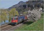 Der Frühling kommt...

...und die SBB Re 6(6 11629 (Re 620 029-9)  Interlaken , die mit einem Güterzug kurz vor Villenneuve auf dem Weg in Richtung Wallis ist.

21. März 2023