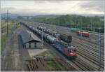 Die SBB Re 6/6 11626 (Re 620 026-5)  Zollikofen  mit  Schnautz  steht in Lausanne Triage  mit Güterzug.