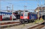 Da die Zeit des Einsatzendes der stolzen SBB Re 6/6 absehbar ist, ergreife ich nun des öfteren beim Anblick einer Re 6/6 den Fotoapparat und fotografiere.