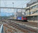 mit nur einer Re 6/6  ist der mit planmässig mit zwei Re 6/6 bespannte EWLV Güterzug mit der ungewohnten Route Lausanne Triage - Brig - Kandersteg - Zürich (RBL) unterwegs und erreicht