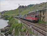Mit zwei Re 6/6 bespannt ist zwischen Rivaz und St-Saphorin der EWKV SBB Cargo Güterzug von Lausanne Triage nach Zürich RBL via Brig und Kandersteg unterwegs.