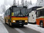 (258'274) - Gohl, Herzogenbuchsee - Nr. 11/BE 54'324 - NAW/Hess (ex Flury, Balm; ex Steiner, Altbron Nr. 11) am 6. Januar 2024 in Adelboden, Unter dem Birg