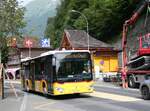 (264'088) - Flck, Brienz - Nr.