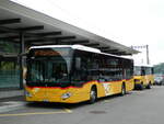 (236'104) - PostAuto Bern - BE 654'090 - Mercedes am 22.